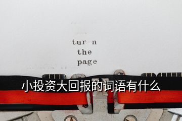 小投資大回報的詞語有什么