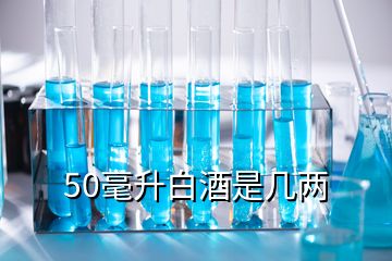 50毫升白酒是幾兩