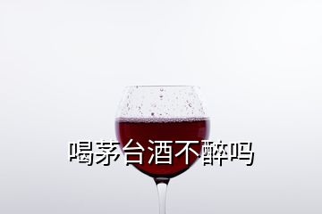 喝茅臺(tái)酒不醉嗎