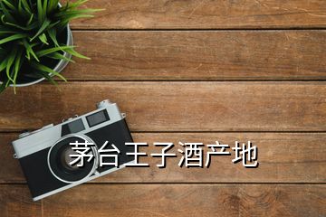 茅臺(tái)王子酒產(chǎn)地