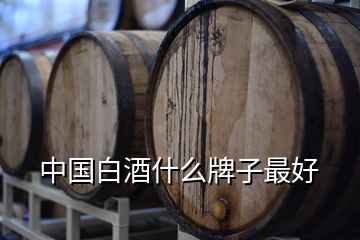 中國白酒什么牌子最好