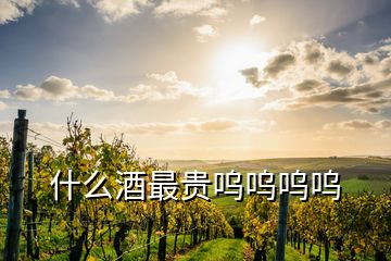 什么酒最貴嗚嗚嗚嗚