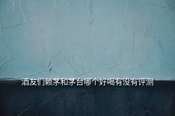 酒友們賴茅和茅臺(tái)哪個(gè)好喝有沒有評(píng)測