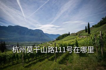 杭州莫干山路111號在哪里