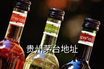 貴州茅臺地址