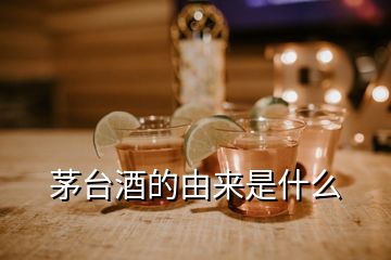 茅臺酒的由來是什么