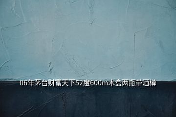 06年茅臺(tái)財(cái)富天下52度600m木盒兩瓶帶酒樽