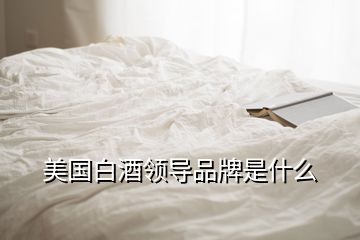 美國(guó)白酒領(lǐng)導(dǎo)品牌是什么