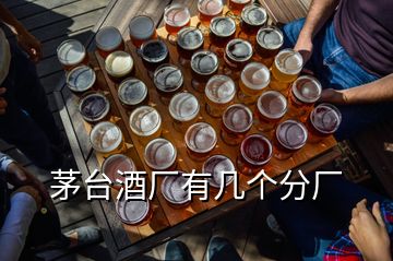 茅臺酒廠有幾個分廠