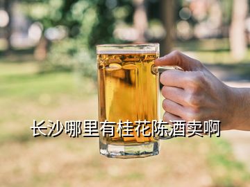 長沙哪里有桂花陳酒賣啊