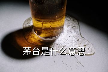 茅臺是什么意思