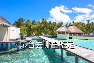 茅臺(tái)去哪里鑒定