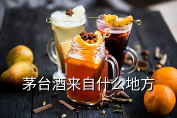 茅臺酒來自什么地方