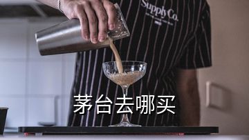 茅臺去哪買