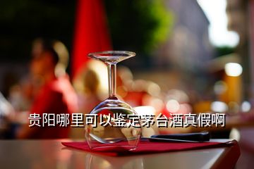 貴陽哪里可以鑒定茅臺(tái)酒真假啊