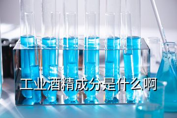 工業(yè)酒精成分是什么啊