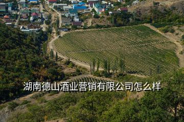 湖南德山酒業(yè)營(yíng)銷有限公司怎么樣