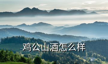 雞公山酒怎么樣