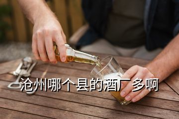 滄州哪個縣的酒廠多啊