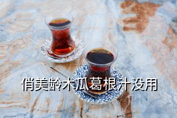 俏美齡木瓜葛根汁沒(méi)用