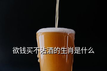 欲錢買不沾酒的生肖是什么