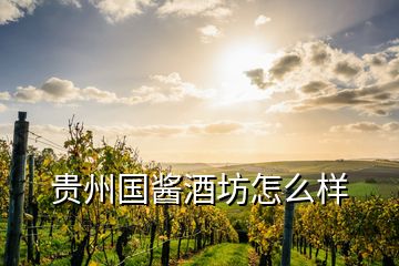 貴州國醬酒坊怎么樣