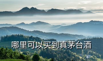 哪里可以買(mǎi)到真茅臺(tái)酒