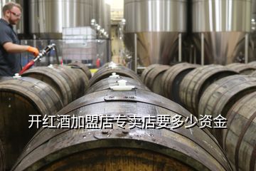 開(kāi)紅酒加盟店專賣店要多少資金