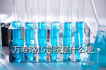 萬壽路15號院是什么梗