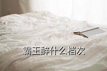 霸王醉什么檔次