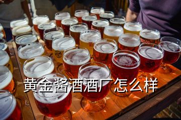 黃金醬酒酒廠怎么樣