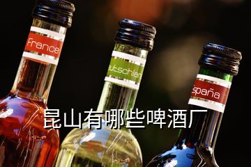 昆山有哪些啤酒廠