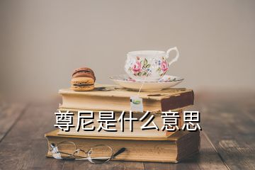 尊尼是什么意思