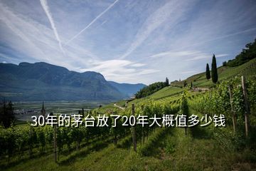 30年的茅臺放了20年大概值多少錢