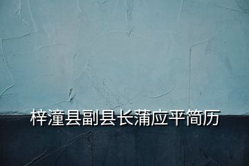 梓潼縣副縣長蒲應平簡歷