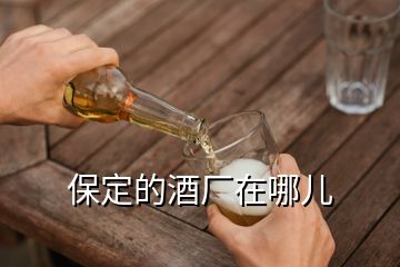 保定的酒廠在哪兒