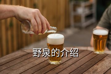 野泉的介紹