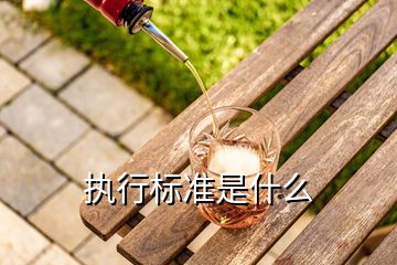 執(zhí)行標準是什么