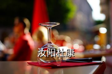 汝陽杜康