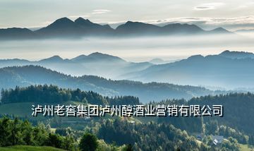 瀘州老窖集團(tuán)瀘州醇酒業(yè)營(yíng)銷有限公司