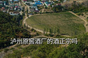 瀘州原窖酒廠的酒正宗嗎