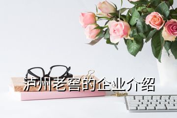 瀘州老窖的企業(yè)介紹