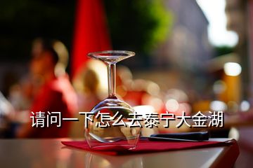 請(qǐng)問一下怎么去泰寧大金湖