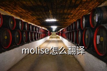 molise怎么翻譯