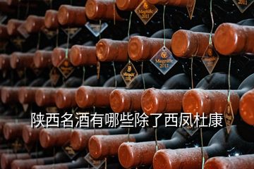 陜西名酒有哪些除了西鳳杜康