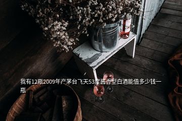 我有12瓶2009年產(chǎn)茅臺飛天53度醬香型白酒能值多少錢一瓶