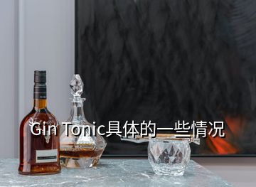 Gin Tonic具體的一些情況