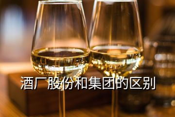 酒廠股份和集團(tuán)的區(qū)別