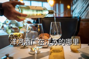 洋河酒廠在江蘇的哪里