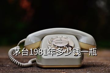 茅臺(tái)1981年多少錢一瓶